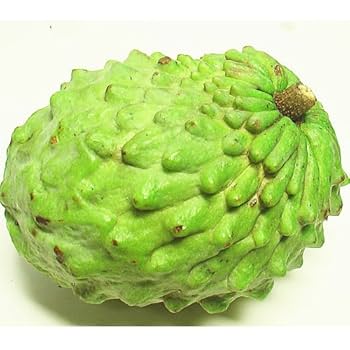 Amazon.co.jp: 沖縄県産 アテモヤ 約2kg (4-12玉) あてもやは森